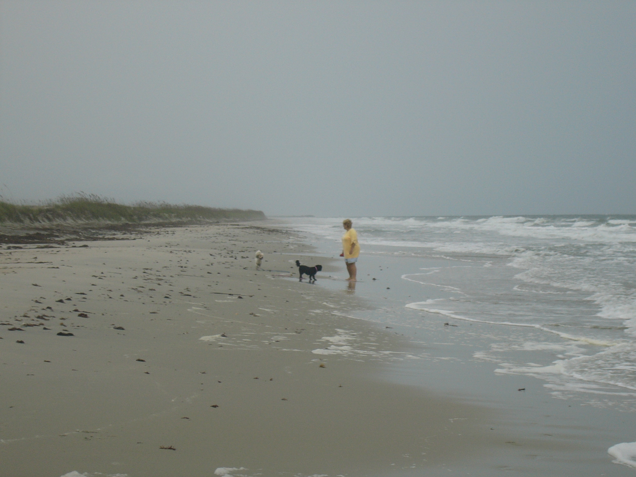 huntingtonbeach.jpg