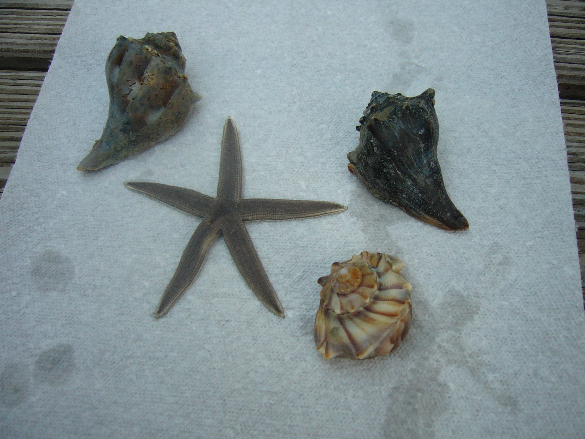 treasures.jpg